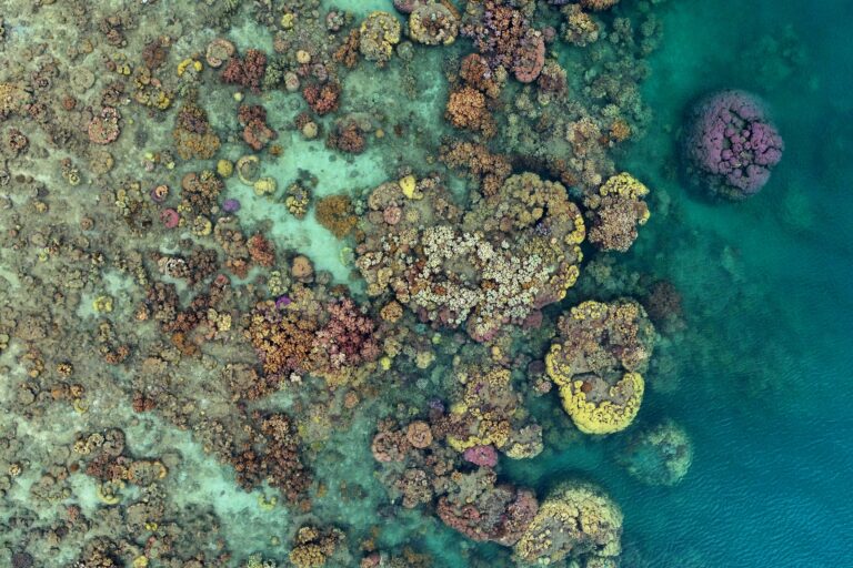 Great Barrier Reef