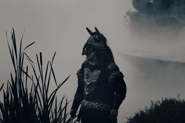 Wikinger 1